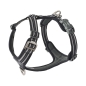Preview: DOG Copenhagen V3 Comfort Walk Air Black